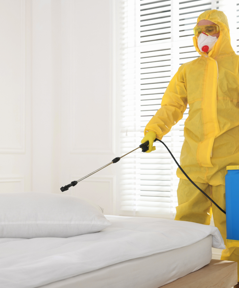Professional Pest Control Team in Coromandel East